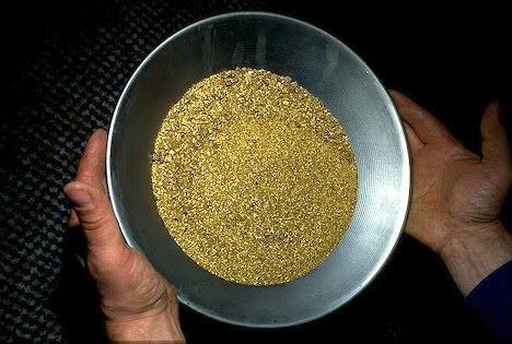 High-magnification scanning electron micrograph of alluvial gold dust particles showing flake morphology and crystalline structure, with particle size distribution overlay and elemental composition data
